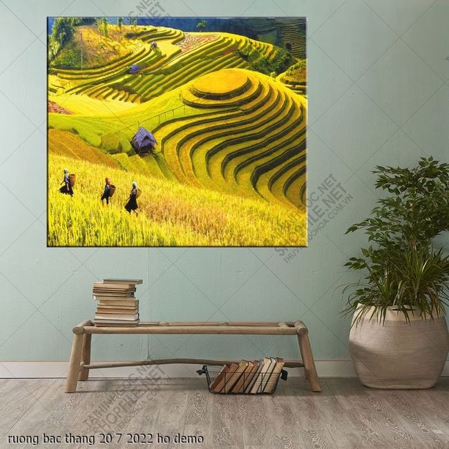 ruong bac thang 20 7 2022 ho